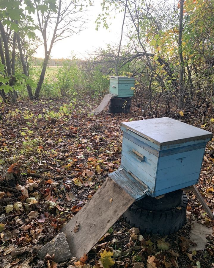 дом р-н Кимовский г Кимовск Новольвовское, д. Каменка, муниципальное образование фото 22