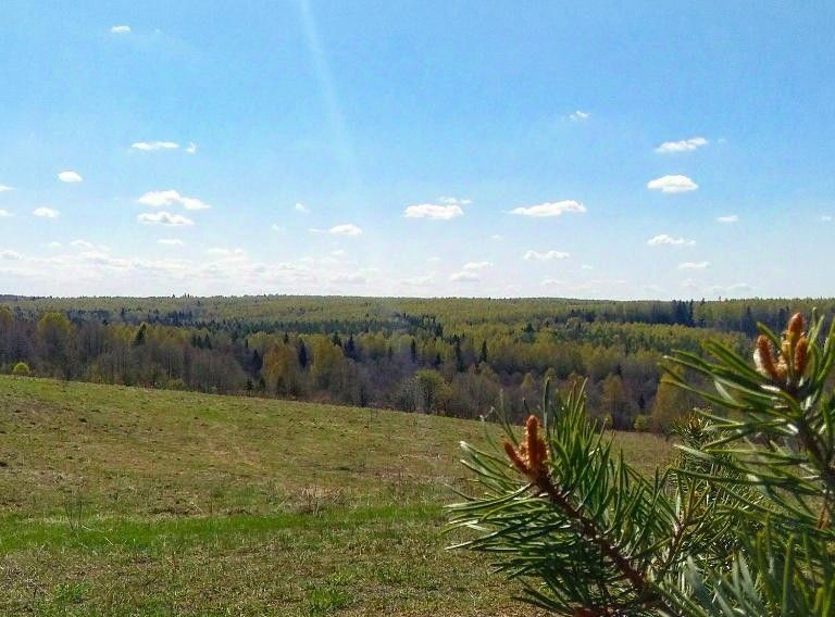 дом г Переславль-Залесский ул Народная площадь фото 1