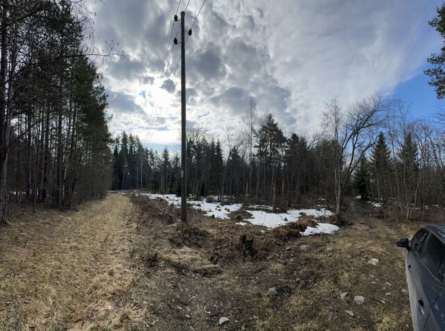 Сортавальский муниципальный округ, СТ Приладожец фото