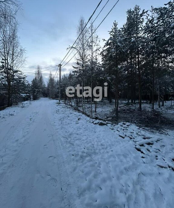 земля р-н Всеволожский снт Родничковое Всеволожское городское поселение, Тенистая улица фото 1