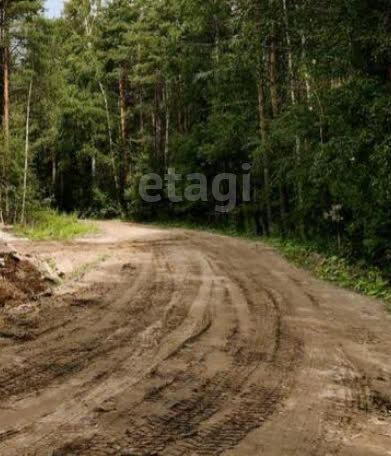 земля р-н Всеволожский снт Родничковое Всеволожское городское поселение фото 2