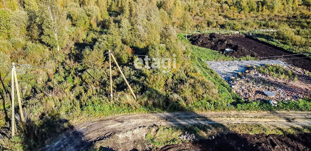 земля р-н Гатчинский п Мыза-Ивановка ул Новая фото 7