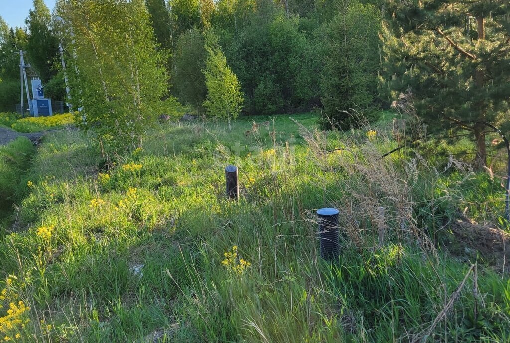 земля р-н Кировский д Пухолово Мгинское городское поселение фото 16