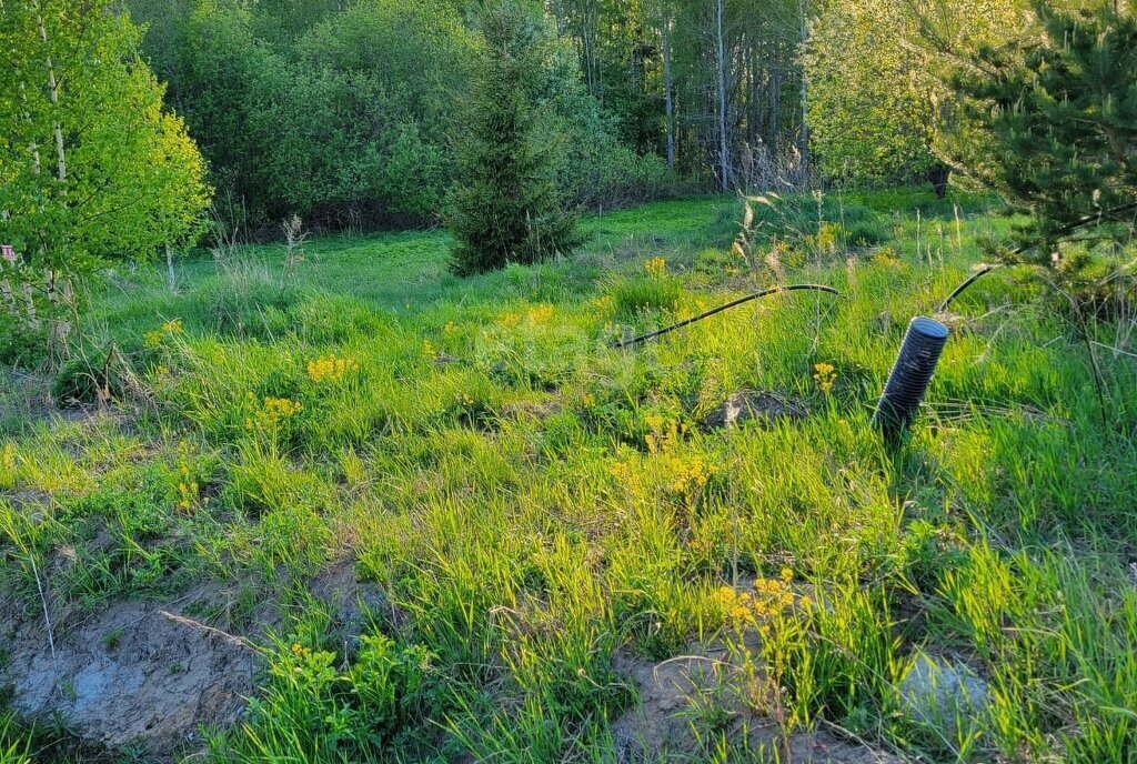 земля р-н Кировский д Пухолово Мгинское городское поселение фото 17