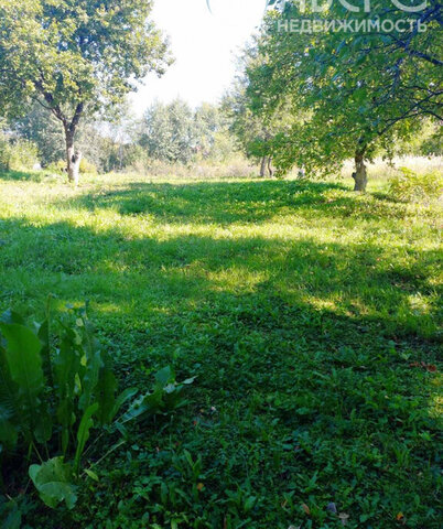 село Дмитриевская Слобода, СНТ Слобода фото