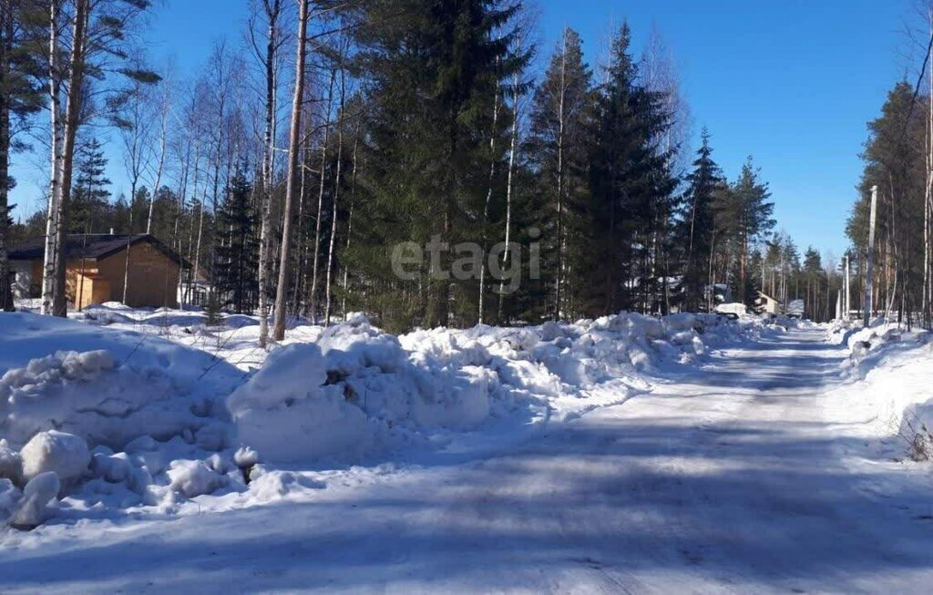 земля р-н Всеволожский снт Родничковое Всеволожское городское поселение фото 1