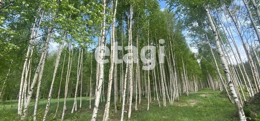 земля р-н Всеволожский д Озерки Приморское городское поселение, Выборгский район фото 25