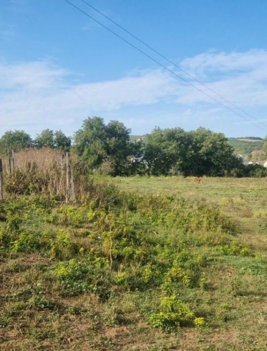 земля р-н Бахчисарайский с Холмовка ул Севастопольская пос, Красномакское с фото 6