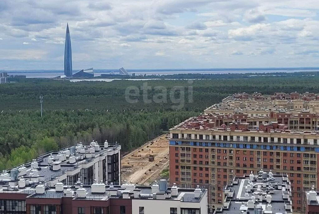 квартира г Санкт-Петербург метро Комендантский Проспект ул Плесецкая 10 ЖК «Полис на Комендантском» округ Юнтолово фото 10