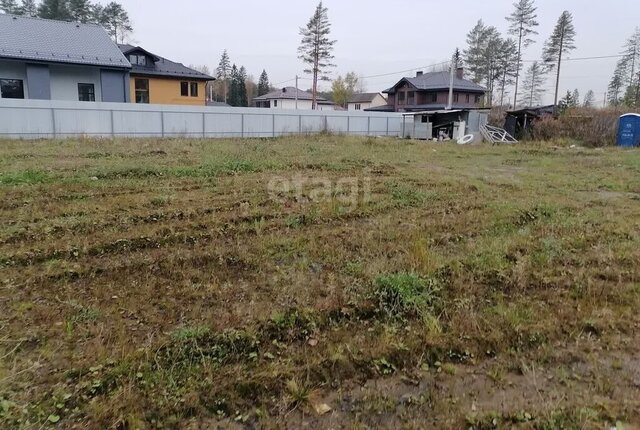 земля снт Осинка Сертоловское городское поселение фото