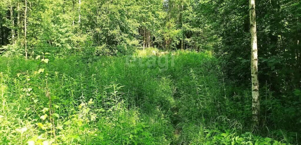 земля р-н Всеволожский д Мендсары Парнас, Бугровское городское поселение фото 18