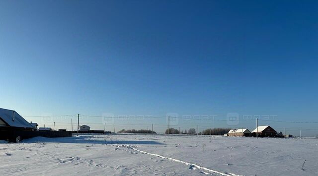 снт тер.Новые Тангачи Рождественское с/пос, 42 фото