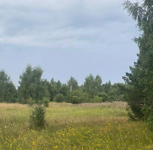 Переславль-Залесский городской округ, д. Ширяйка фото