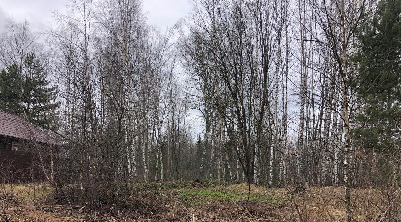 земля р-н Переславский снт Вашутино Переславль-Залесский городской округ фото 9