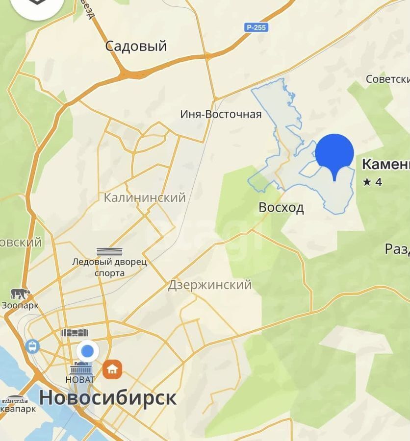 земля р-н Новосибирский Каменский сельсовет, Новосибирск фото 2