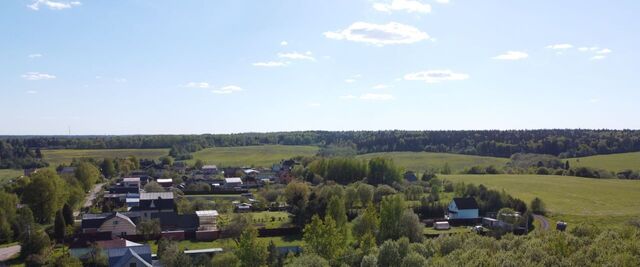 городской округ Истра д Ядромино фото