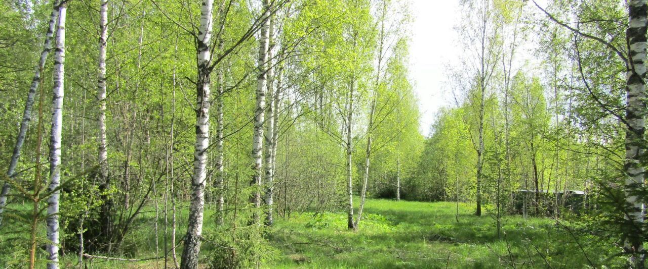 офис городской округ Рузский д Потапово фото 2