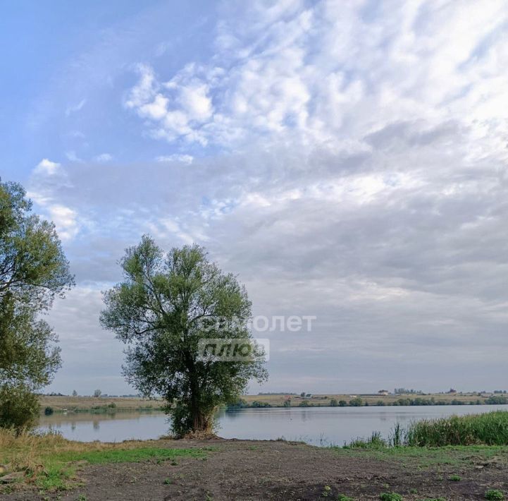 земля р-н Курский д 2-е Безлесное Лебяженский сельсовет, 14 фото 2