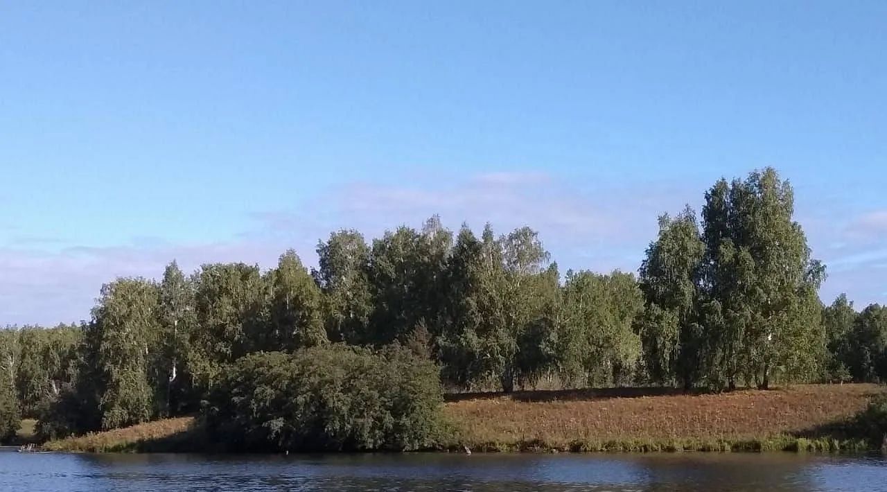 дом р-н Тюменский д Малиновка ул Брусничная Успенское сельское поселение фото 9