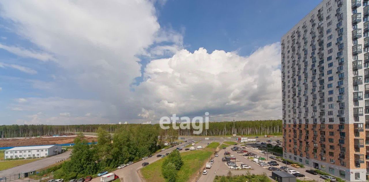 квартира г Санкт-Петербург метро Проспект Просвещения пр-кт Орлово-Денисовский 19к/1 фото 19