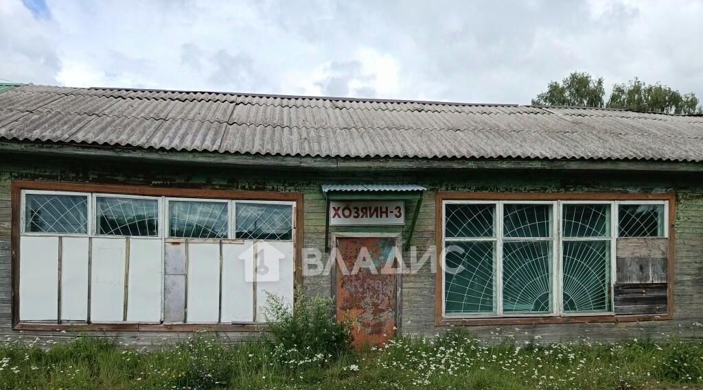 торговое помещение р-н Богородский с Дуденево ул Речников 20 фото 28