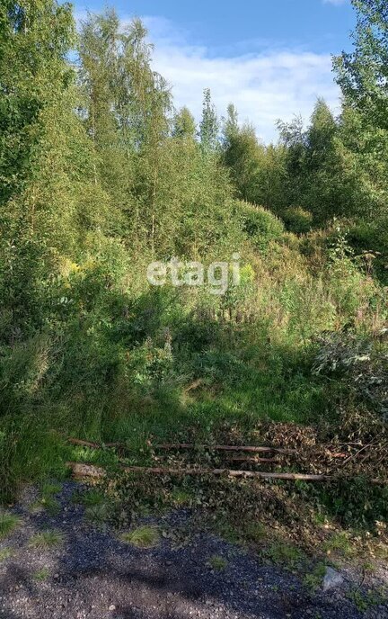 земля р-н Выборгский п Соколинское Советское городское поселение фото 19