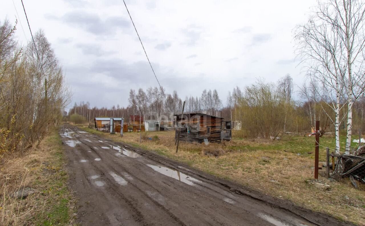 земля р-н Нижнетавдинский ДНТ Сочинское, Тюмень фото 13