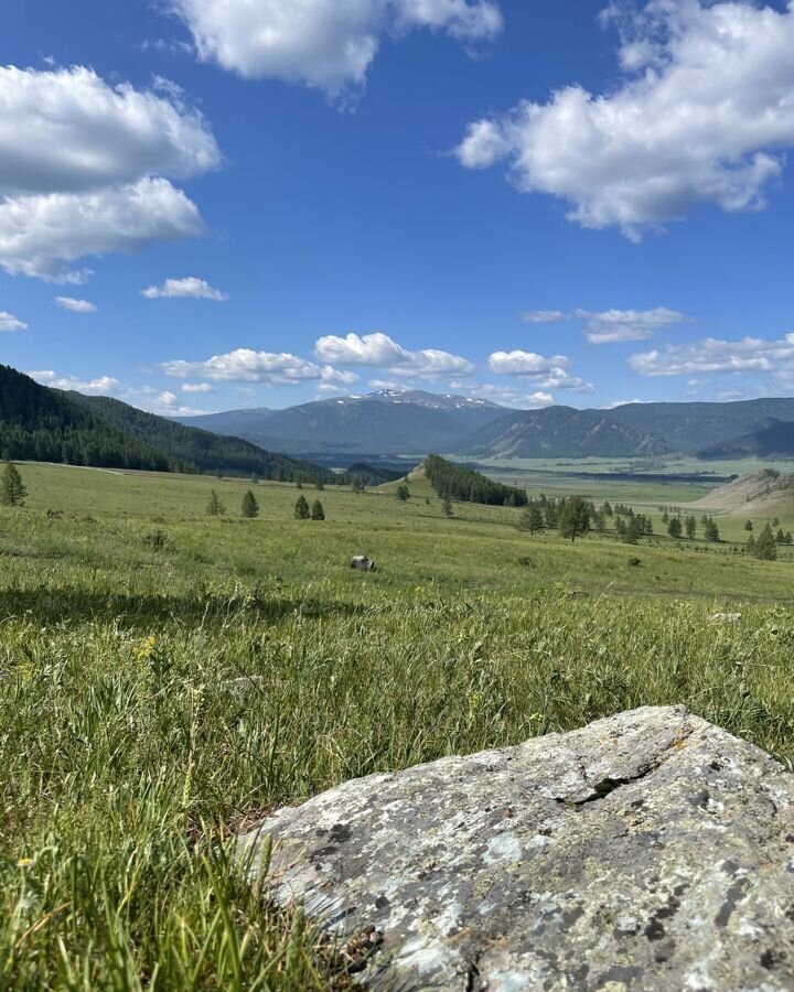 земля р-н Майминский с Озерное Горно-Алтайск фото 3