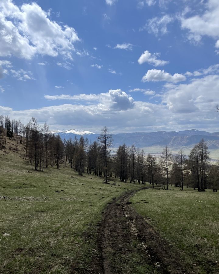 земля р-н Майминский с Озерное Горно-Алтайск фото 8