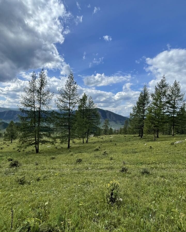 земля р-н Майминский с Озерное Горно-Алтайск фото 9