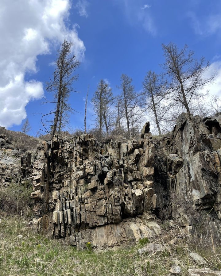 земля р-н Майминский с Озерное Горно-Алтайск фото 27