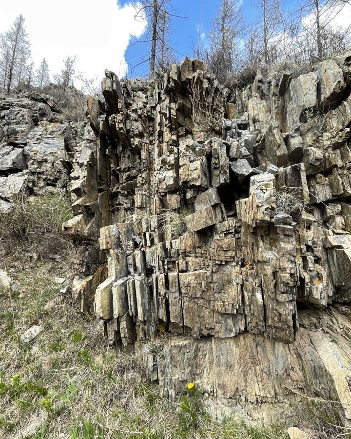 земля р-н Майминский с Озерное Горно-Алтайск фото 26