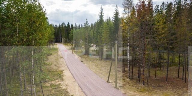 земля Выборгское шоссе, 9751 км, Рощинское городское поселение, городской пос. Рощино фото