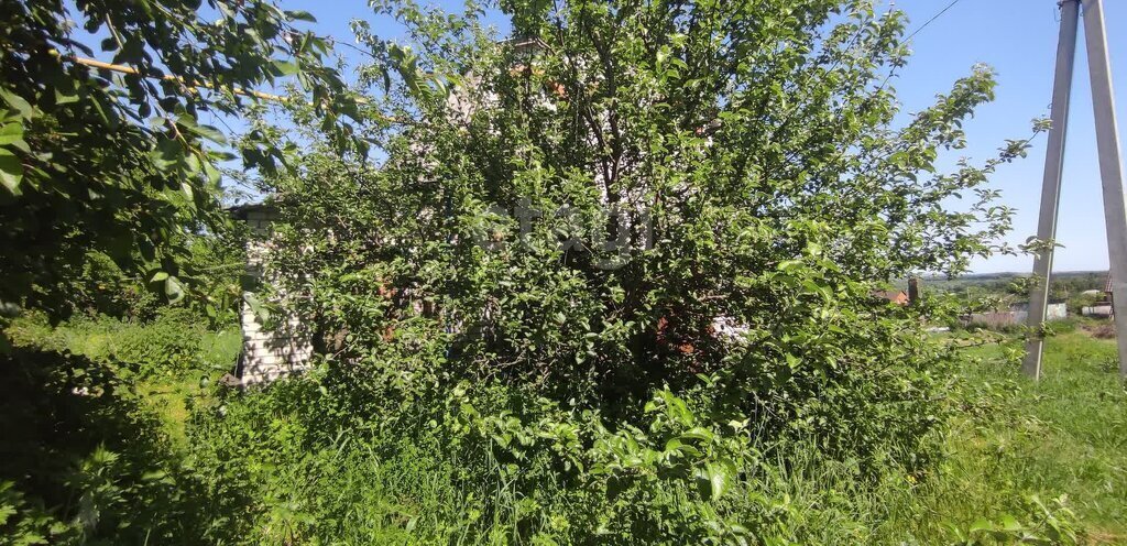 земля р-н Белгородский с Головино пер Лесной фото 4