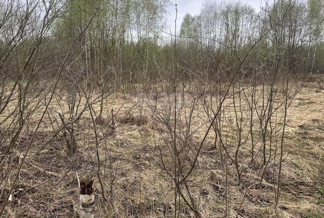 снт тер.Конструктор Бакшеевское сельское поселение фото