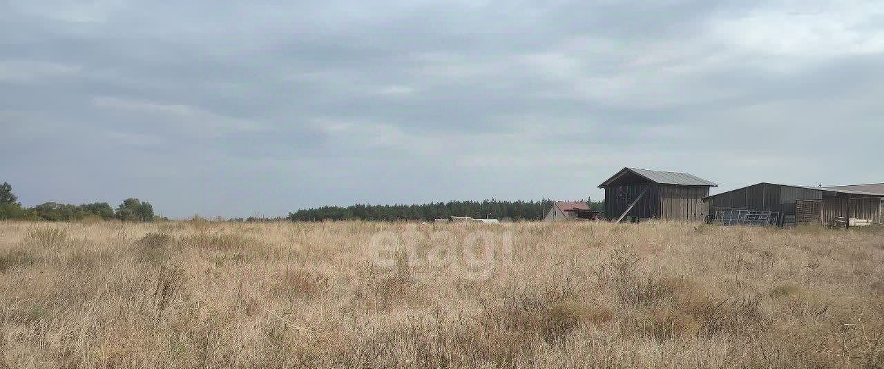 земля р-н Чернянский с Окуни ул Сосновая Волоконовское с/пос фото 11