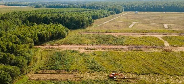 земля д Шишкино Растуновский административный округ фото