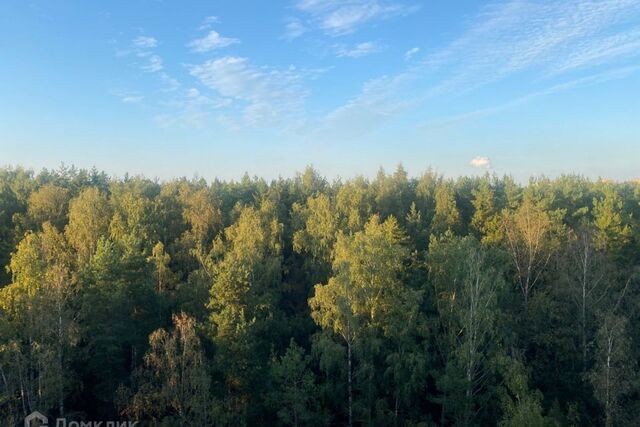 дом 51 ЖК «Ломоносовъ» Петродворцовый район фото