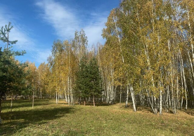 земля Айдаровское сельское поселение, Воронеж фото