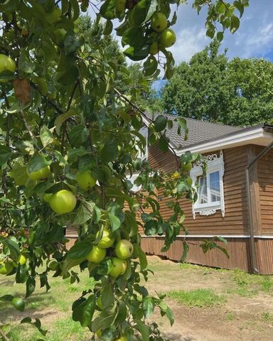 д Быково Костковское сельское поселение, 31, Валдай фото