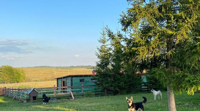 Переславль-Залесский городской округ, д. Насакино фото