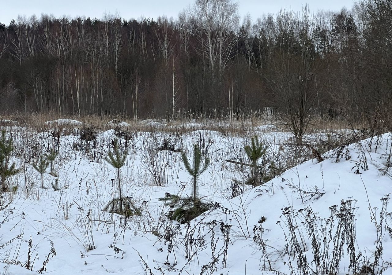 земля городской округ Раменский 9760 км, территория 2-й километр Автодороги ММК - Раменское, Раменское, Егорьевское шоссе фото 9