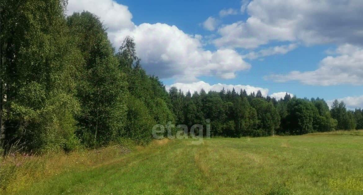 земля р-н Выборгский п Советский Советское городское поселение фото 4