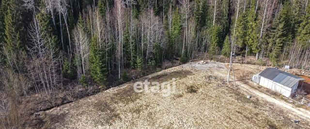 снт Лесовод-1 фото