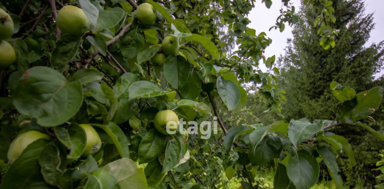 земля р-н Приозерский п Сосново ул Речная 8 фото 3