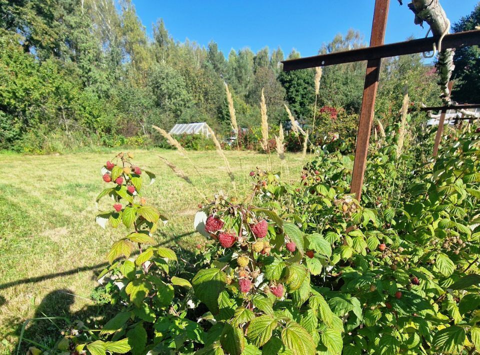 дом городской округ Наро-Фоминский д Лапино фото 27