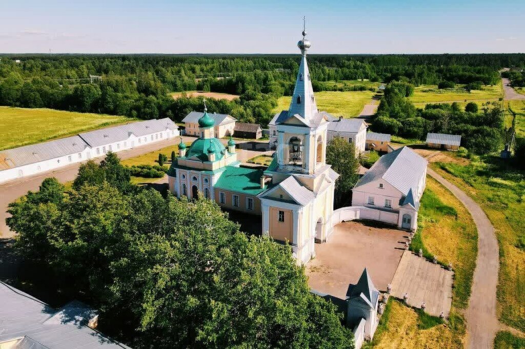 земля р-н Лодейнопольский д Мергино Алёховщинское сельское поселение фото 4