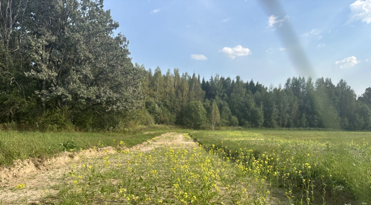 земля городской округ Сергиево-Посадский с Новосёлки фото 5