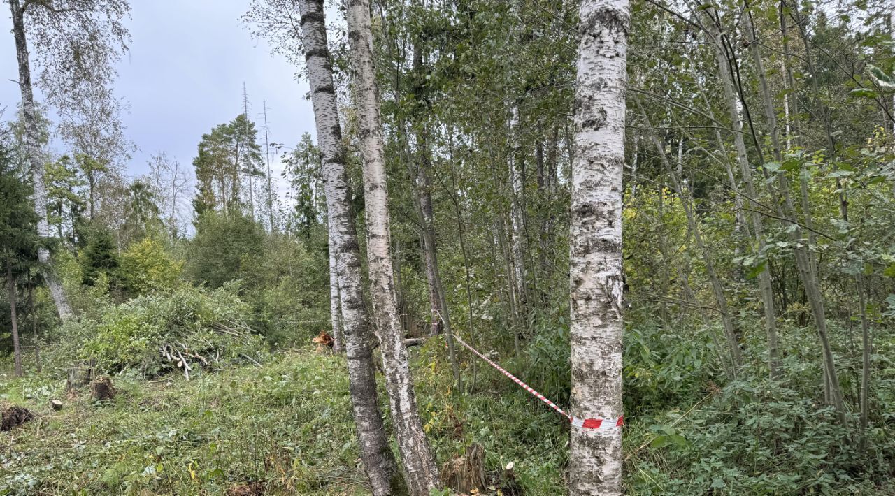 земля городской округ Солнечногорск с Алабушево р-н мкр Дедешино-4 Зеленоград — Крюково фото 9