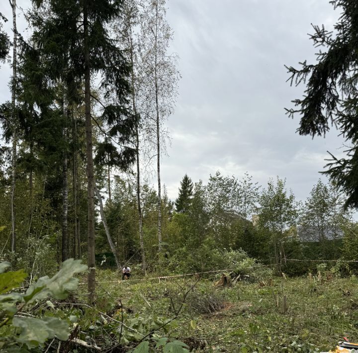 земля городской округ Солнечногорск с Алабушево р-н мкр Дедешино-4 Зеленоград — Крюково фото 11